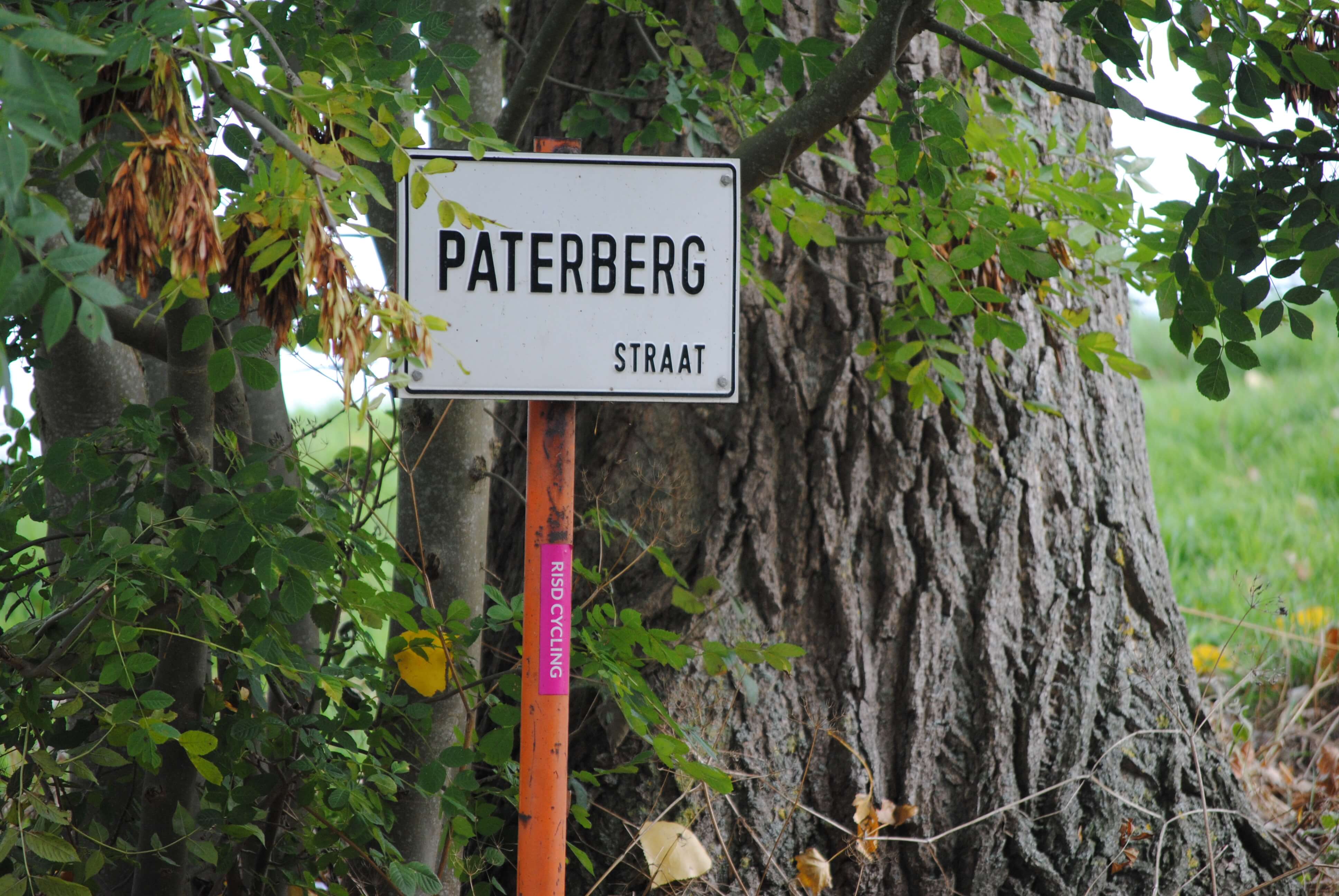 Paterberg
